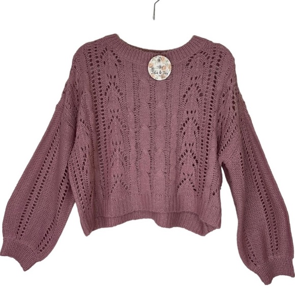 Jolie & Joy Sweaters - JOLIE & Joy By Full Circle Trends Crew Neck Cropped Sweater Mauve Size M NWT